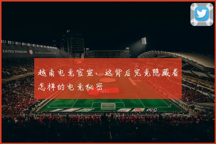 越南电竞官宣，这背后究竟隐藏着怎样的电竞秘密
