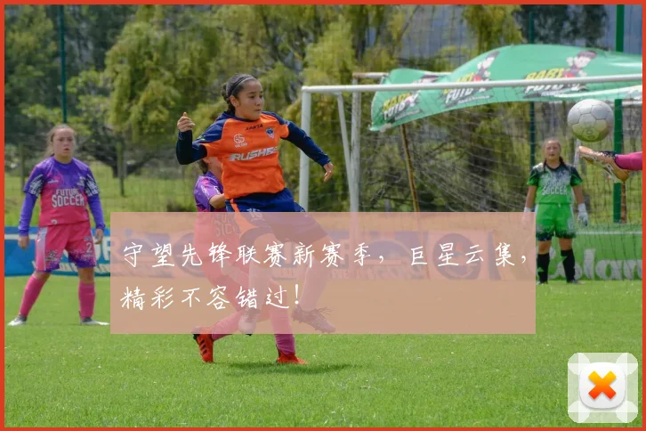 守望先锋联赛新赛季，巨星云集，精彩不容错过！