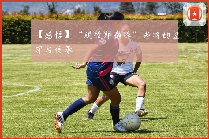 【感悟】“退役即巅峰”老将的坚守与传承