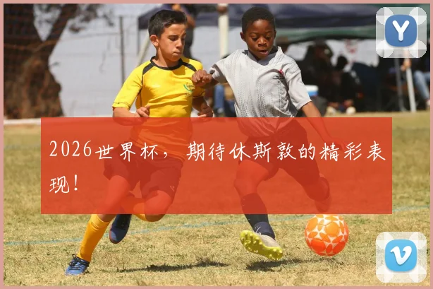 2026世界杯，期待休斯敦的精彩表现！