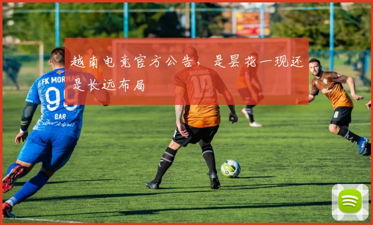 越南电竞官方公告，是昙花一现还是长远布局